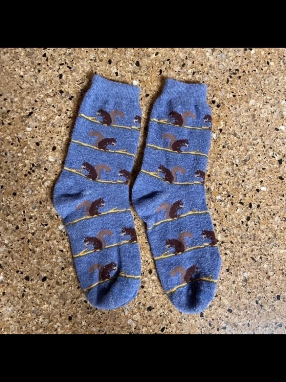 Women’s Squirrel Socks - 4 Pairs